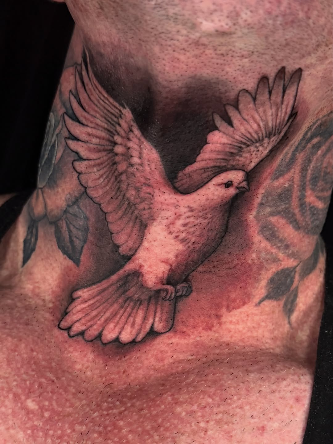 A dove with outstretched wings and detailed feathers in gray and black ink on the chest and shoulder area.
