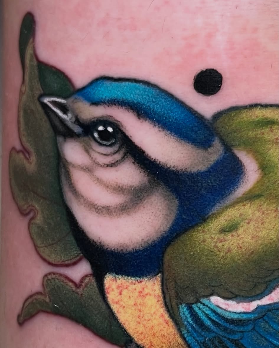 Colorful tattoo of a blue jay with green wings and tan chest feathers on pink skin, featuring detailed eye and black outline.