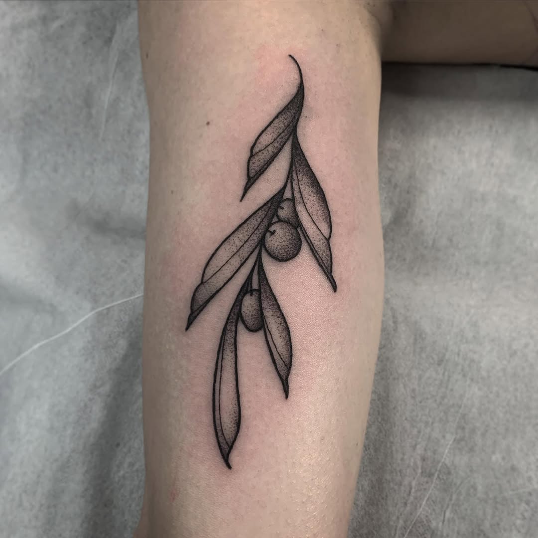 Olive branch with leaves and fruit rendered in black ink on the inner forearm, featuring detailed linework and shading throughout.
