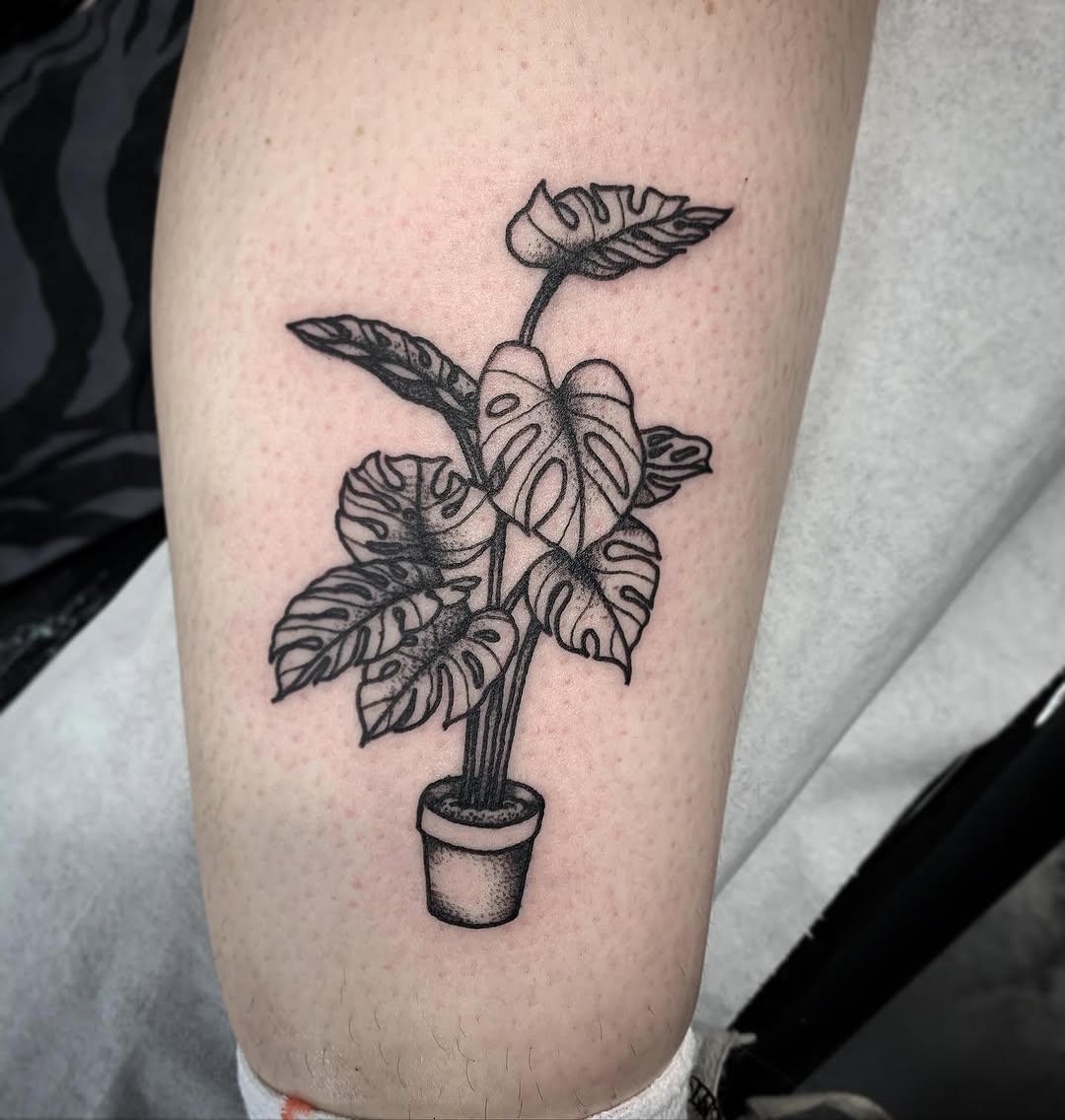 Potted Monstera plant with fenestrated leaves and flowering blooms tattooed in black ink on the calf.
