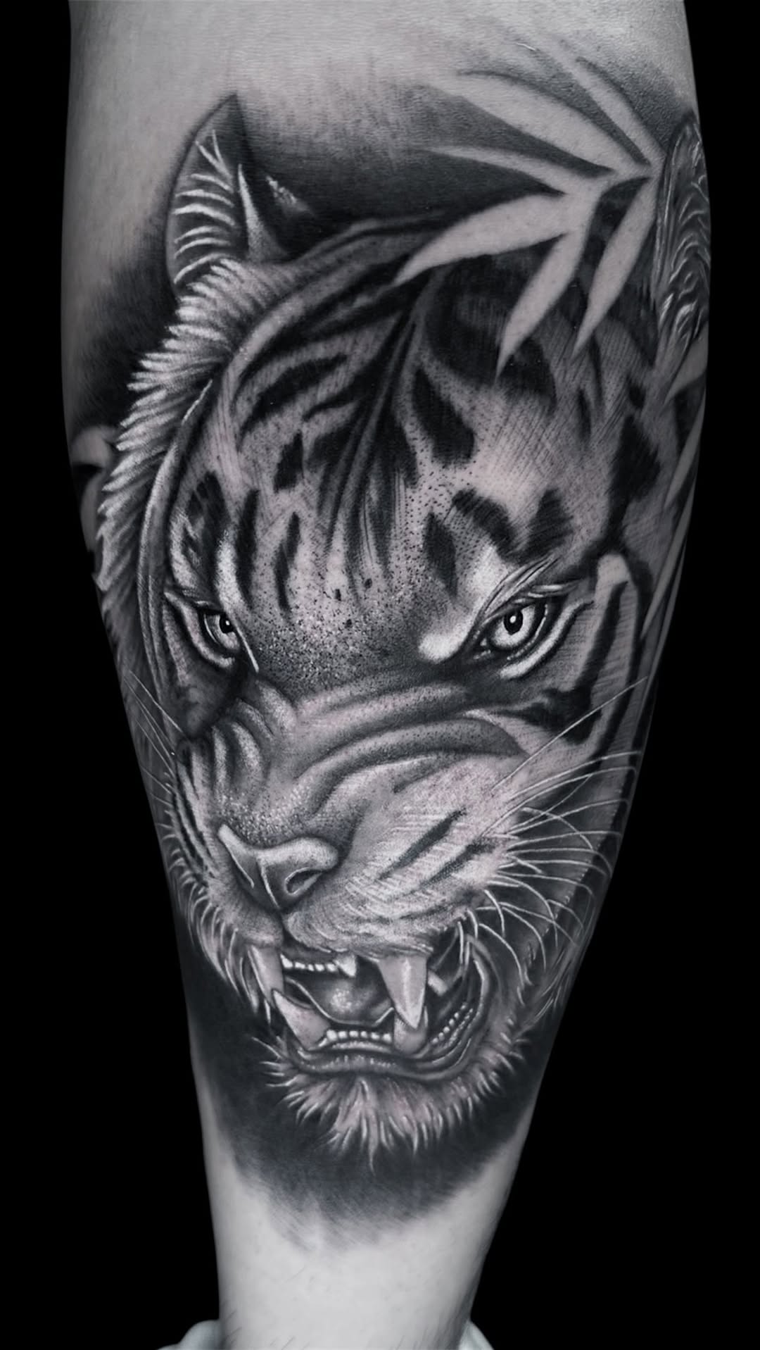 Tiger head tattoo on leg showing detailed facial features, whiskers, and open mouth with visible teeth in grayscale ink.