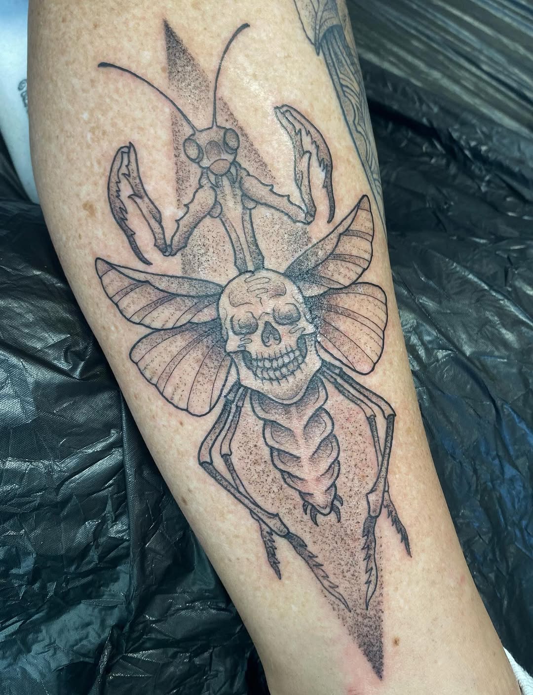 Tattoo on forearm featuring a skull with butterfly wings, a praying mantis, and skeletal ribcage details in black and grey ink.
