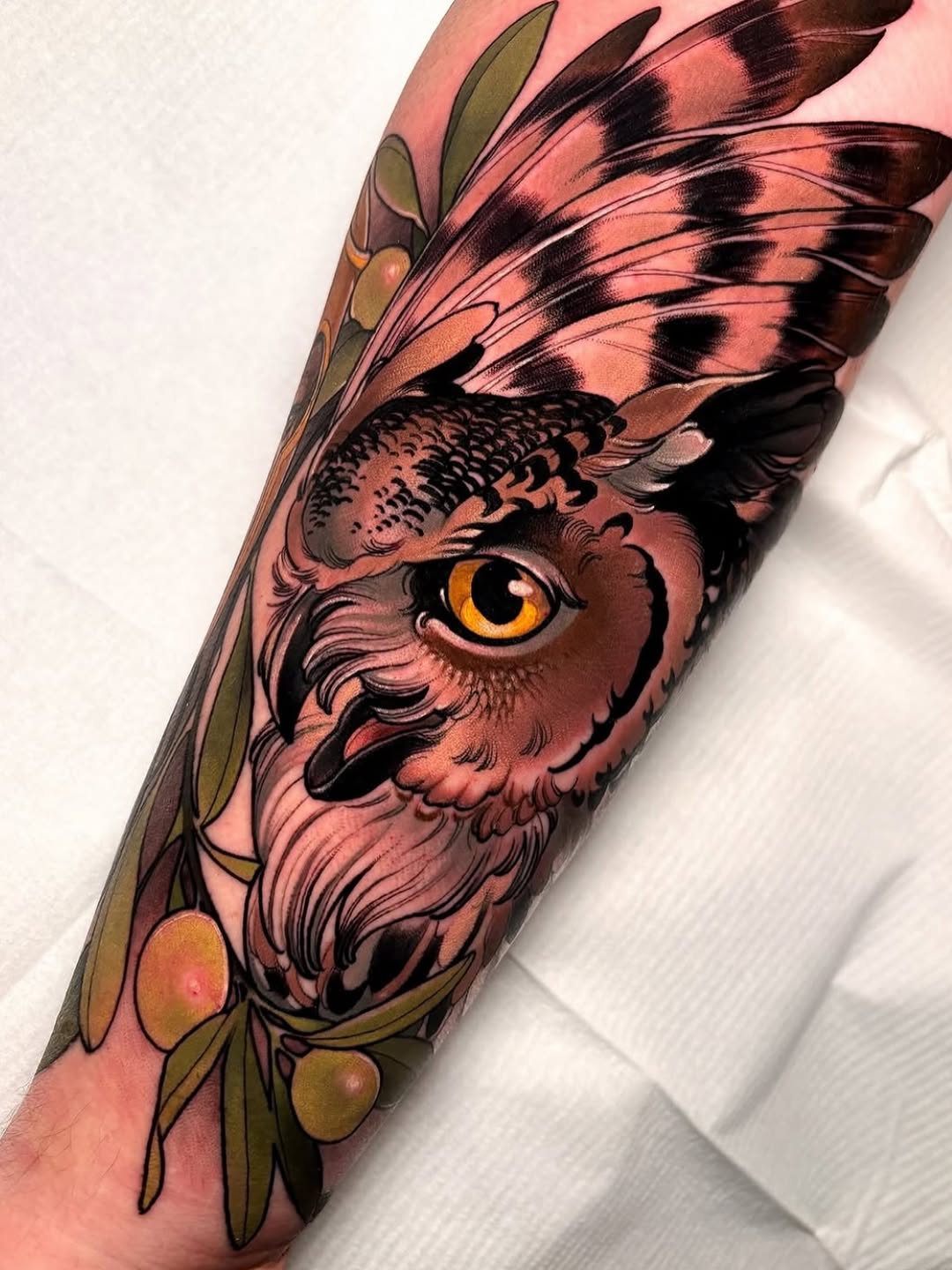 Owl head with golden eye and butterfly wings in coral, brown, and olive tones on forearm with olive branch details.