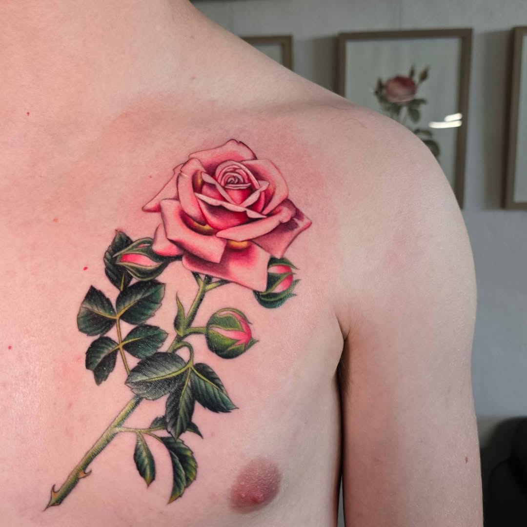 Pink and red rose with green leaves and buds on thorned stem, tattooed on upper chest and shoulder area.