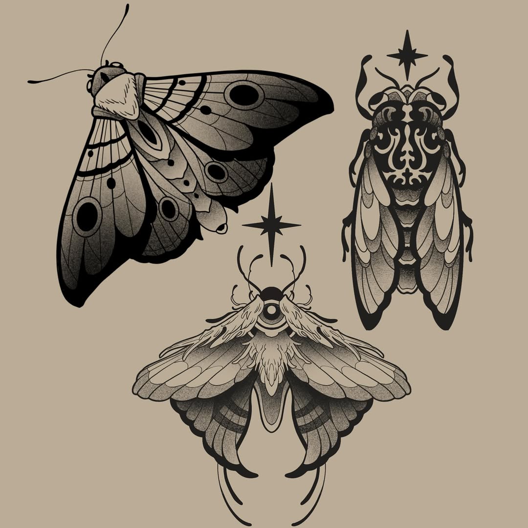 Three detailed insects with ornamental markings and wing patterns arranged vertically on a tan background: a moth, beetle, and winged insect with decorative elements.