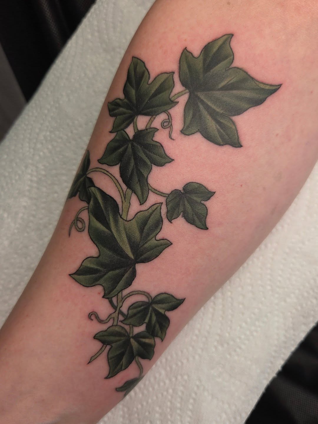 Botanical tattoo on the forearm featuring dark green maple leaves with curling vine stems arranged vertically on pale skin.