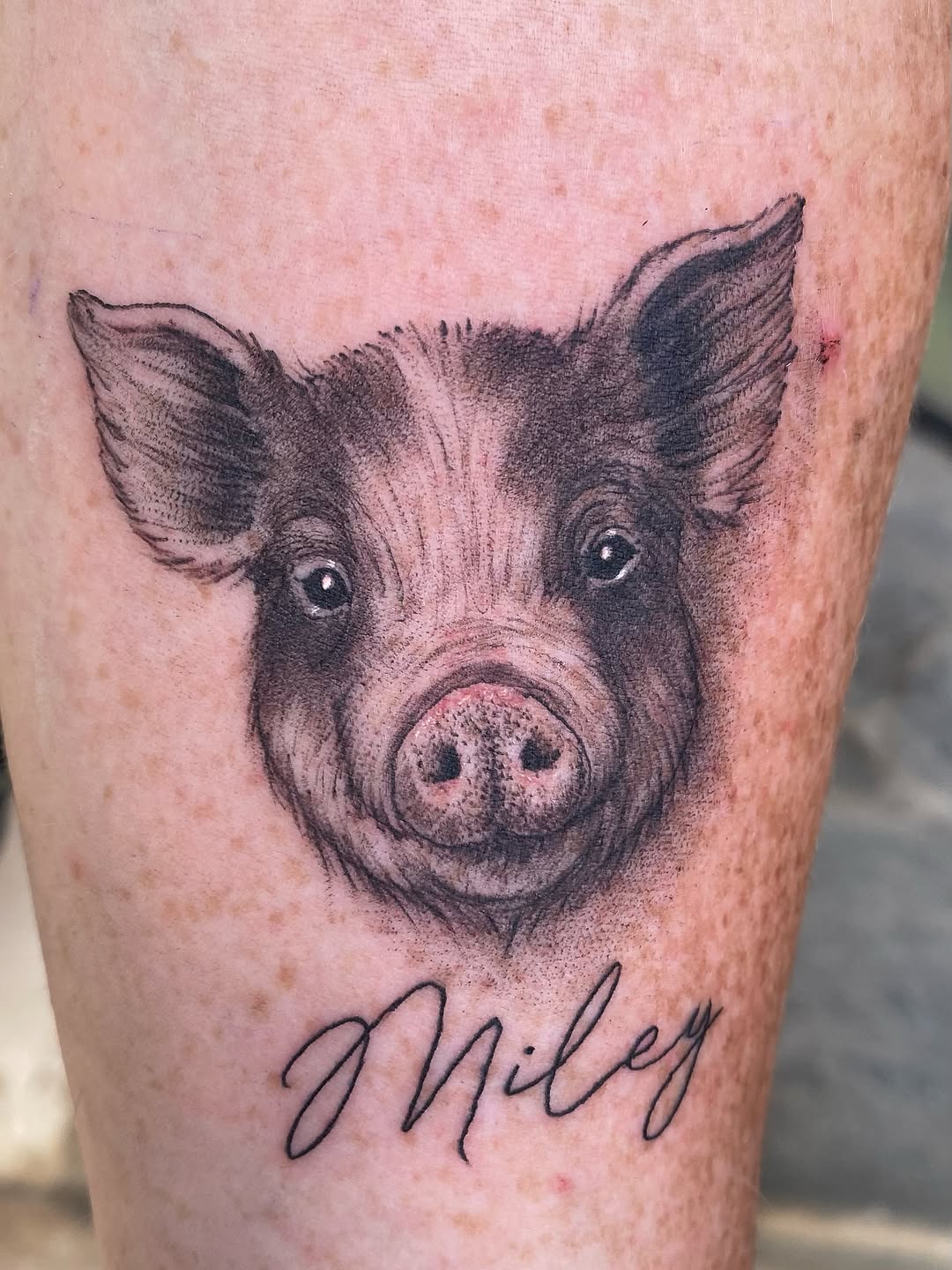 Pig head portrait tattoo with pink snout on thigh, detailed in black ink with shading, accompanied by cursive text reading "Miley" below.