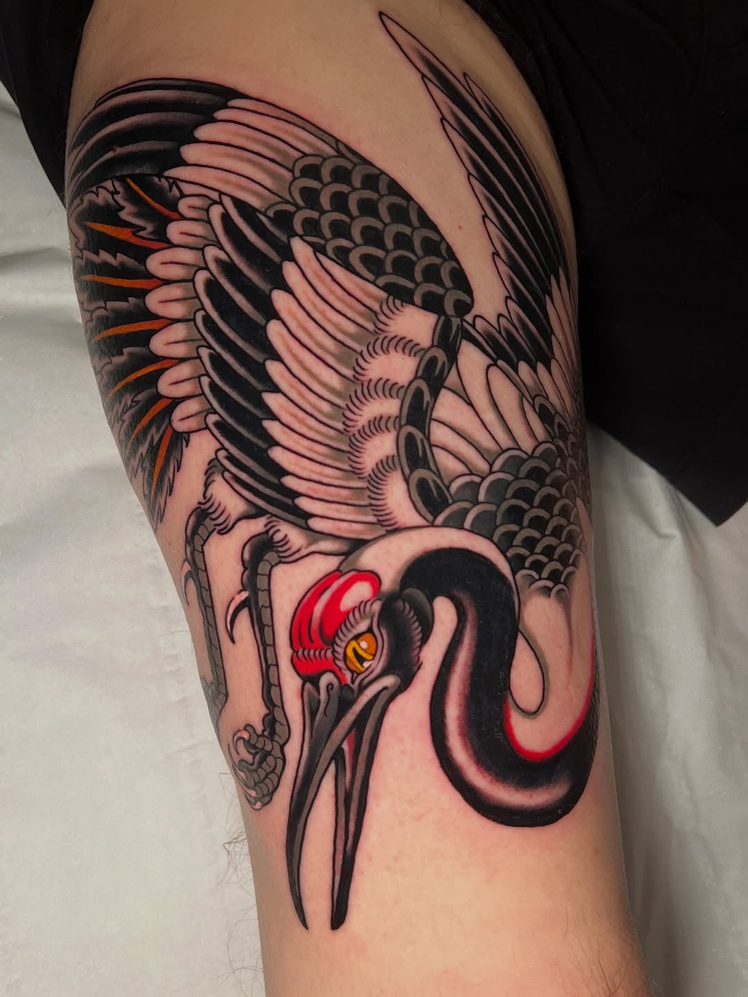 Detailed bird wing tattoo on upper arm featuring red and orange accents with scaled patterns and sharp talons in black and flesh tones.