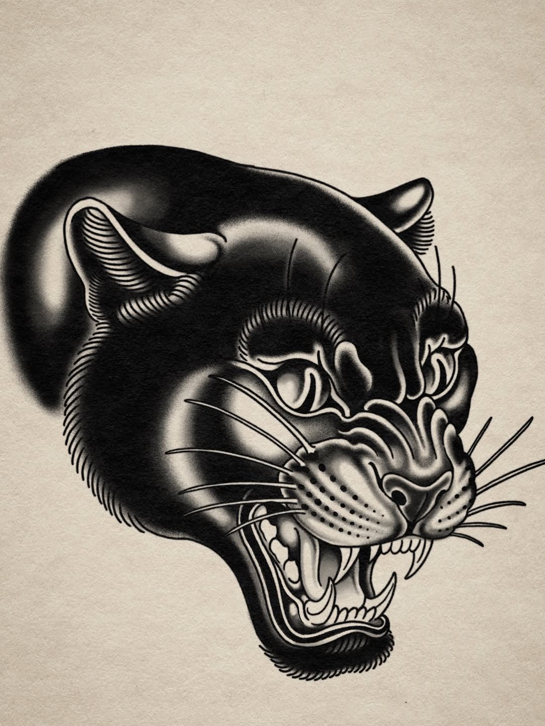 Detailed monochrome drawing of a snarling big cat head with exposed teeth and ornamental facial markings on cream paper.