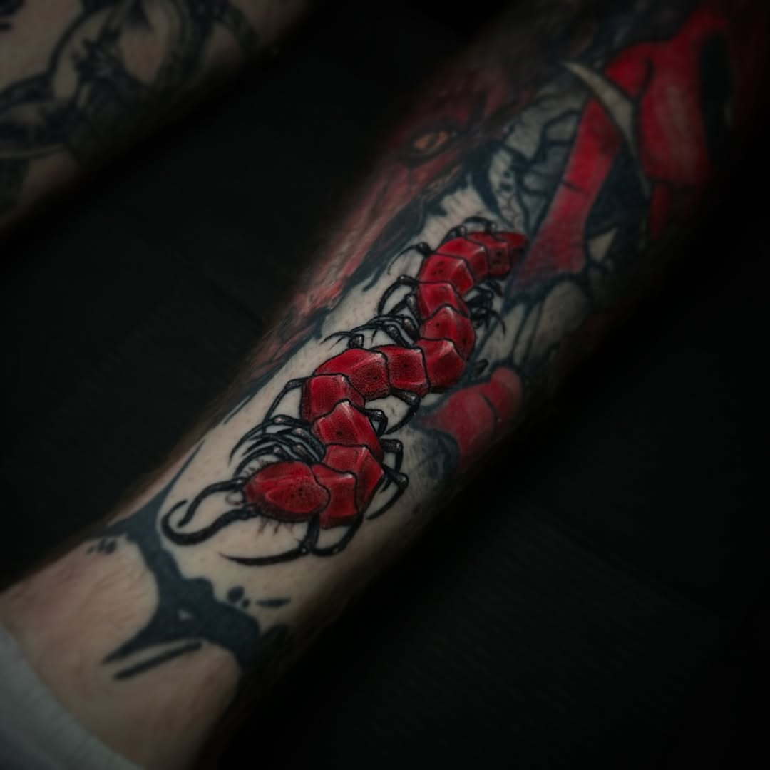 Red beetles with black outlines arranged in a line down the forearm, with decorative black linework above and below the insects on pale skin.