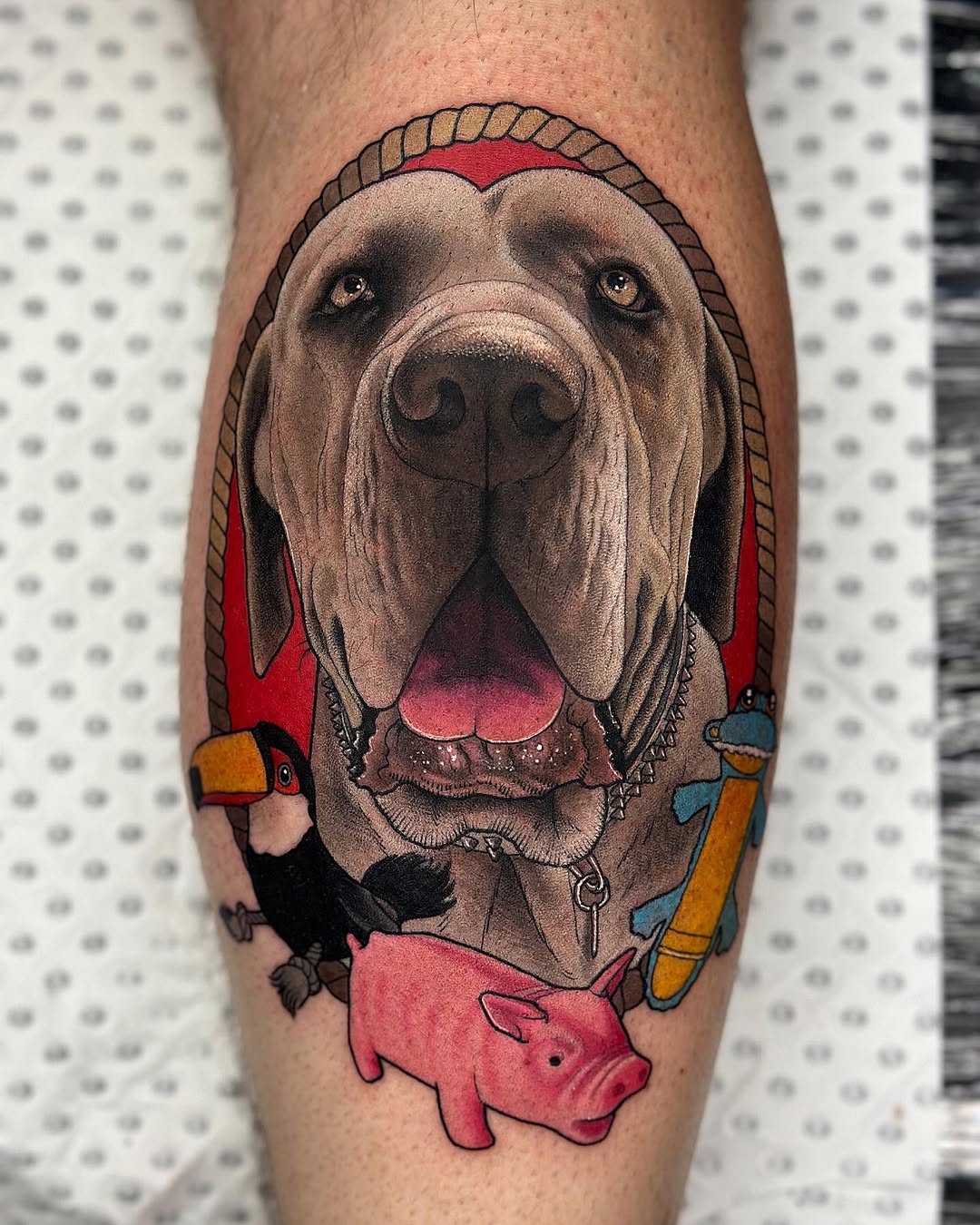 Dog's head portrait with rope border and colorful toys including a toucan, pig, and duck on the lower leg.