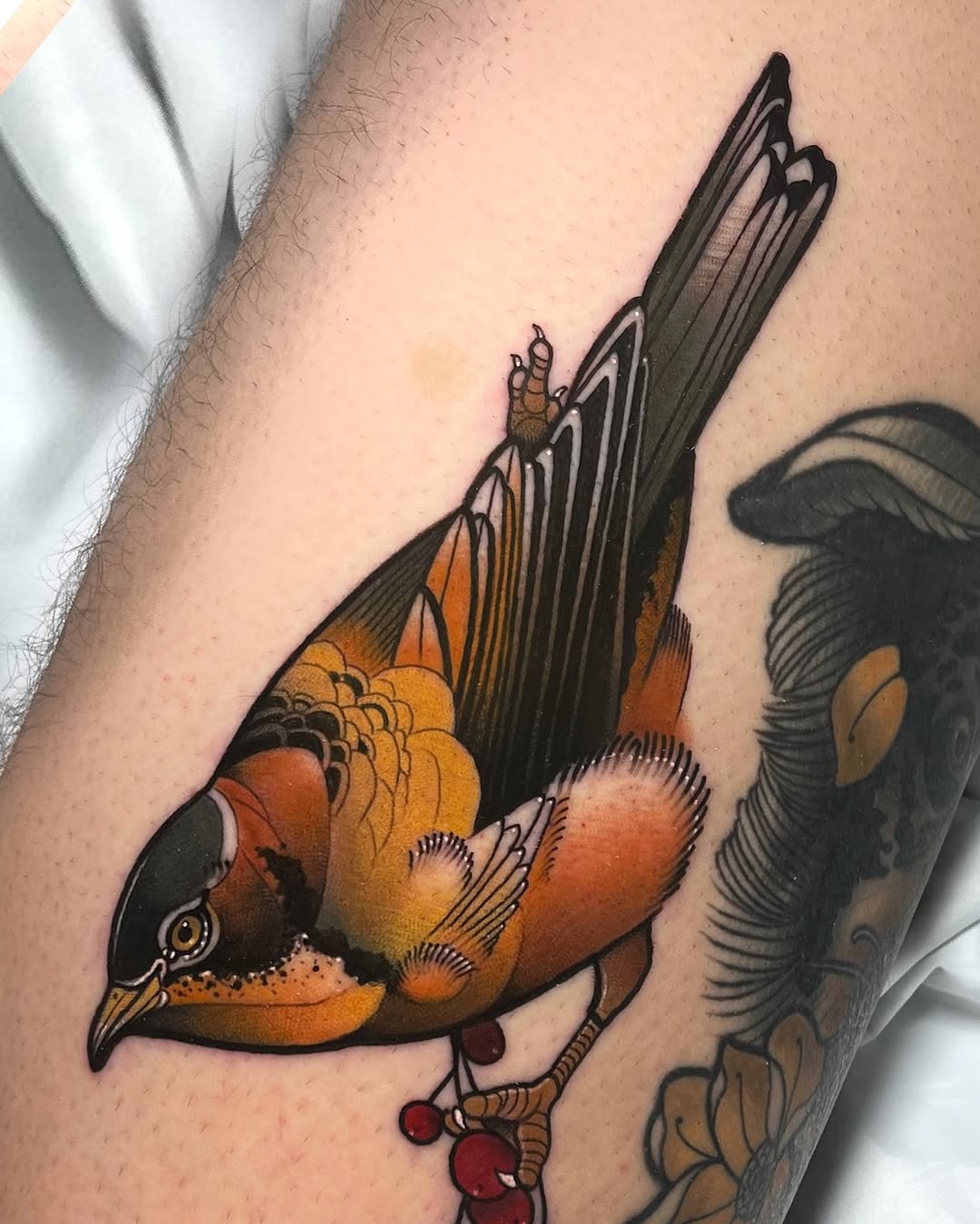 Colorful bird tattoo on arm featuring orange and black plumage with detailed feather work and red berries, shown on tan skin.