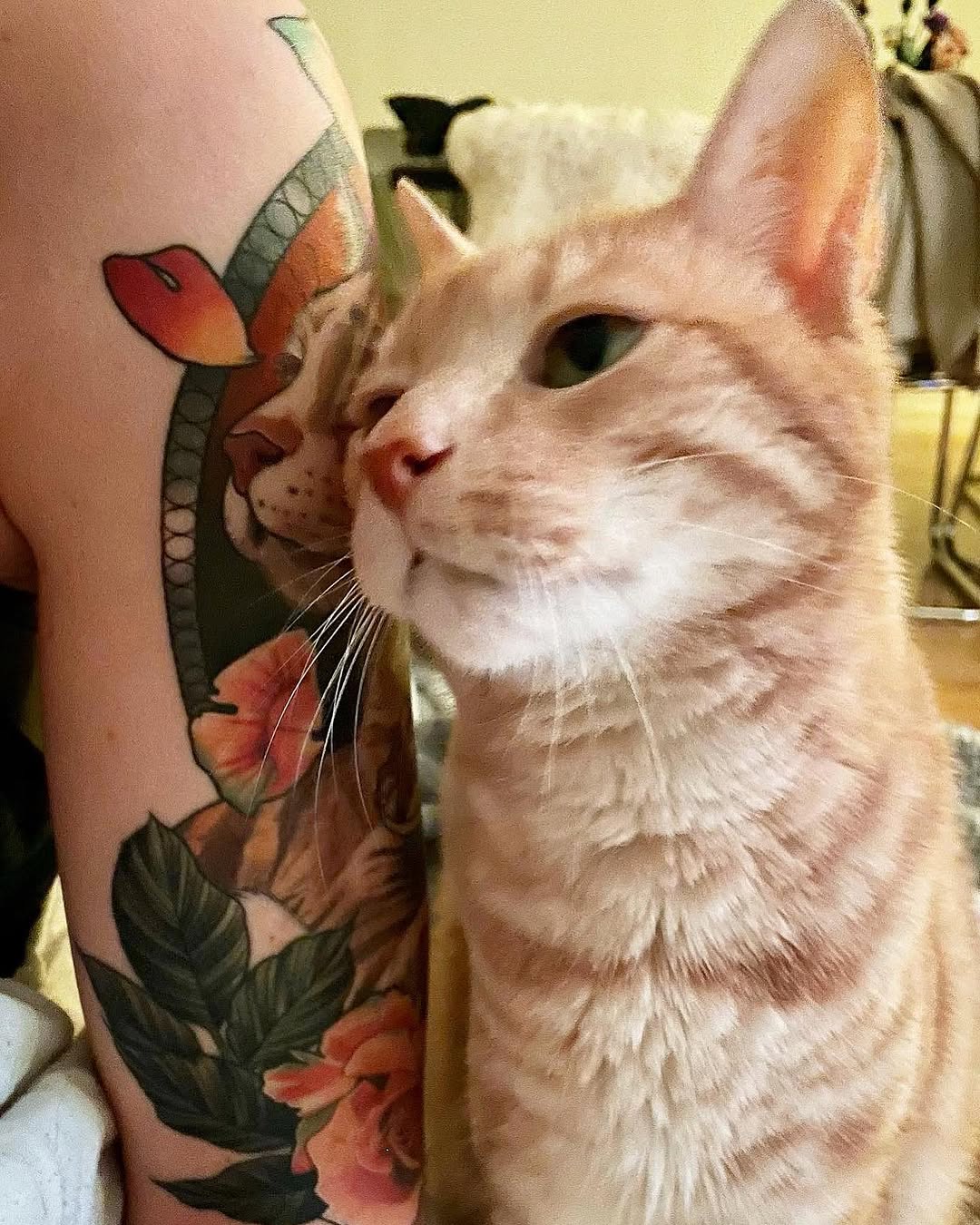Close-up of a red and orange flower tattoo on an arm held next to a cream-colored cat's face.