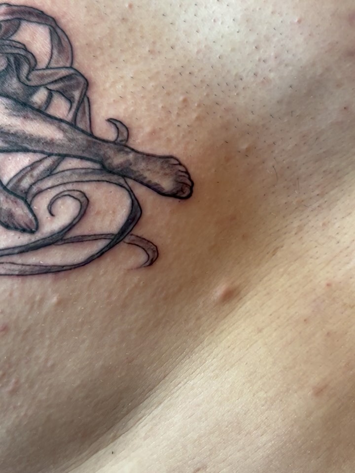 Octopus tentacle tattoo on chest with black ink linework and shading against light skin tone.