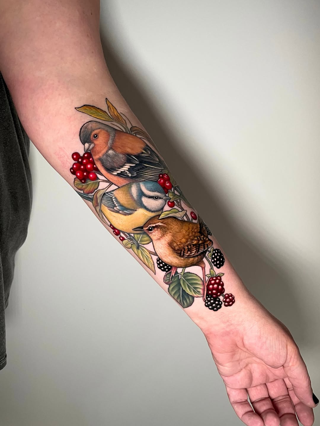 Three colorful birds perched among branches with red and black berries on a person's forearm and wrist, featuring warm brown and orange tones.