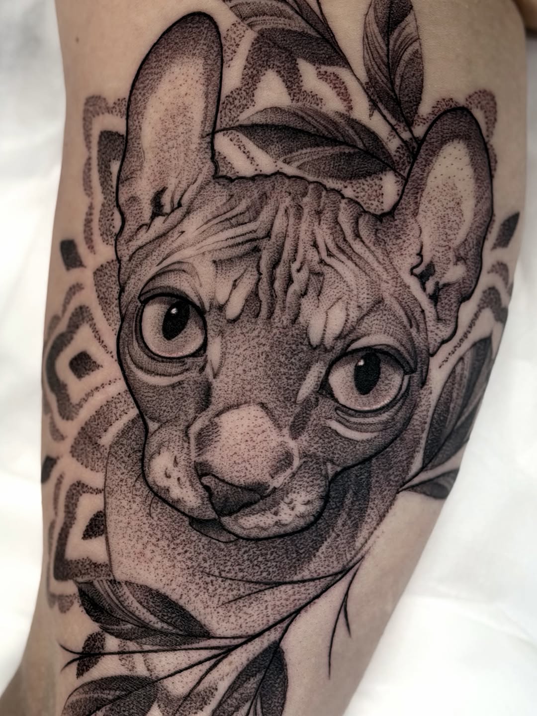 Sphynx cat head portrait with large expressive eyes and botanical leaves, rendered in black and grey ink on arm.