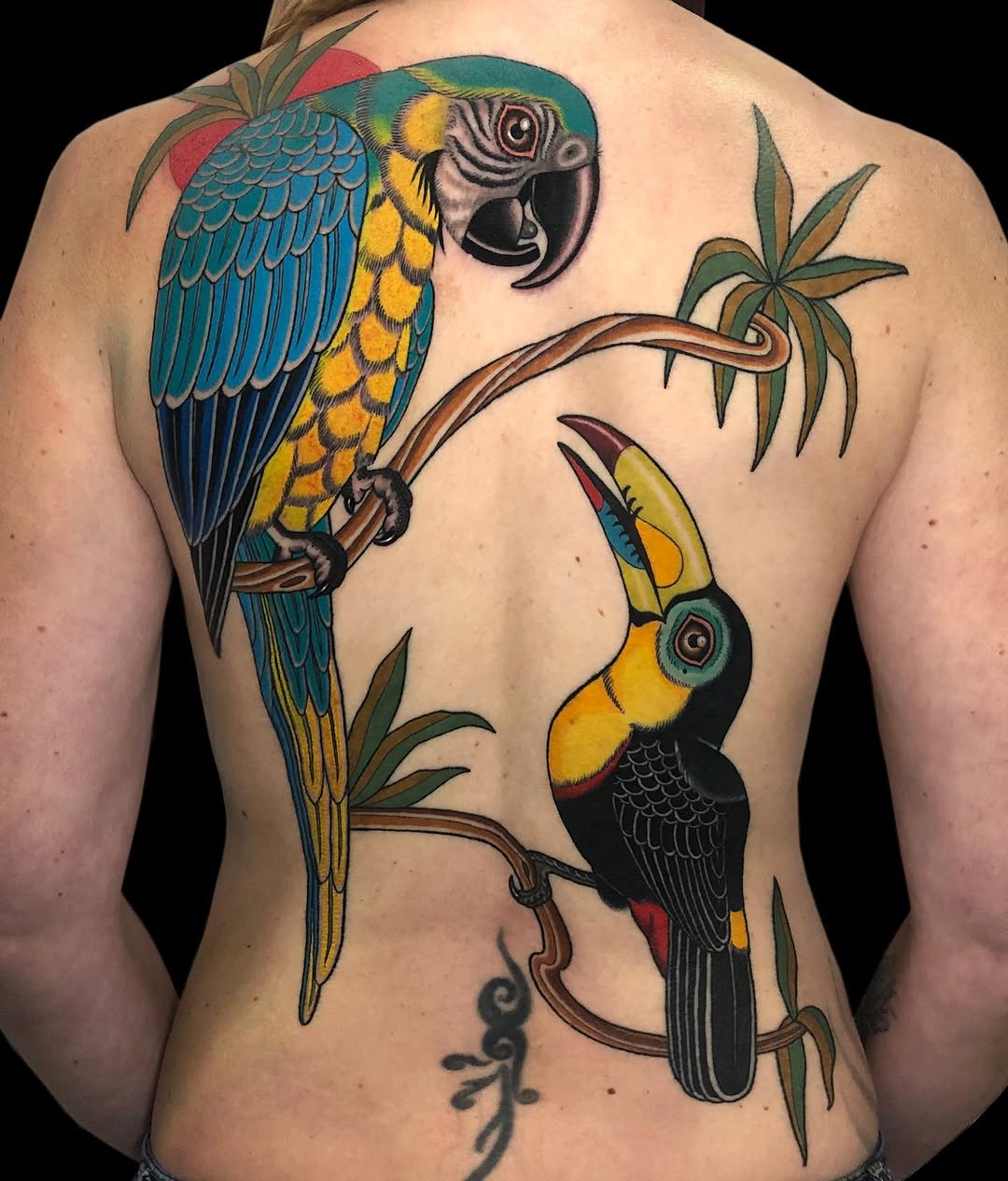 Back tattoo featuring two colorful tropical birds perched on branches with foliage, rendered in vibrant teal, yellow, black, and red tones.