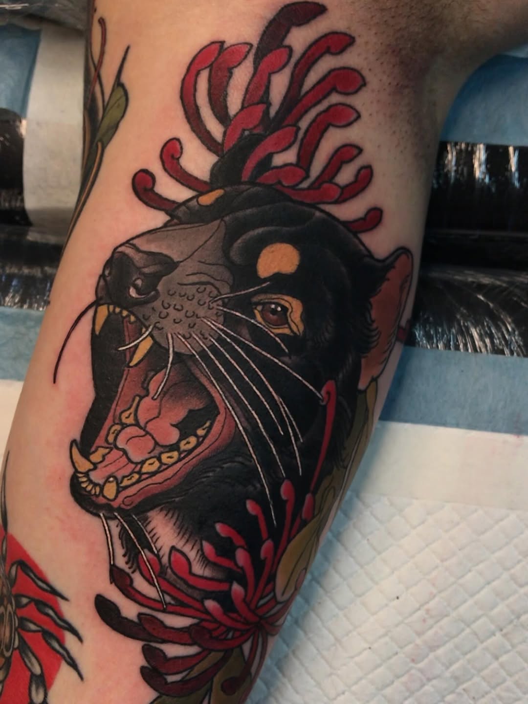 Black cat head with open mouth and amber eyes surrounded by red coral-like tendrils on the upper leg.