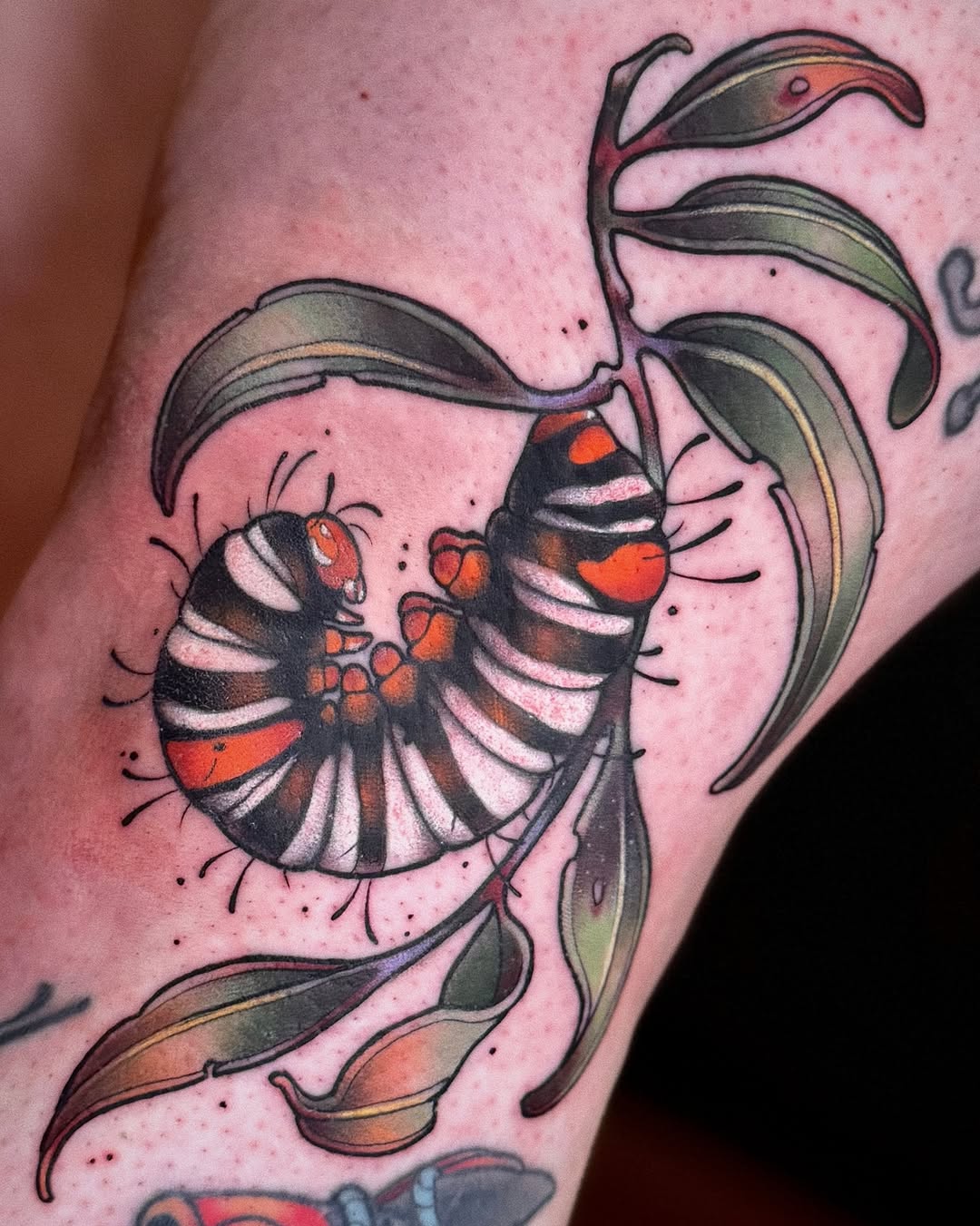 Colorful tattoo of a butterfly with orange and red markings and black stripes, surrounded by curved green leaf designs on skin.
