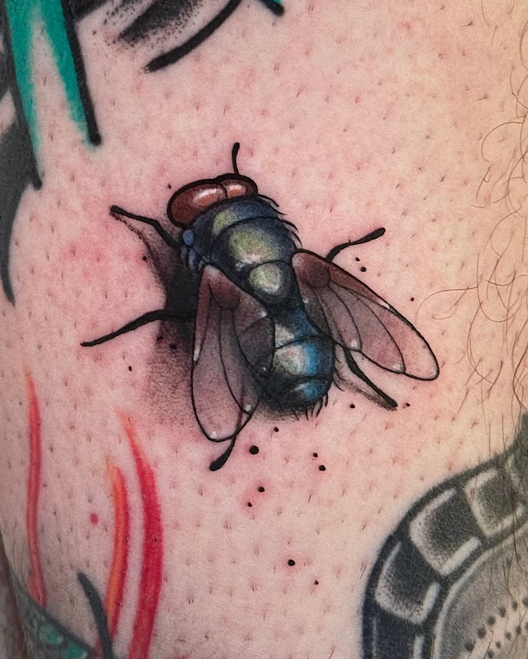 Detailed fly tattoo on shoulder featuring iridescent blue-green body, copper-red head, translucent wings, and surrounding dot details.