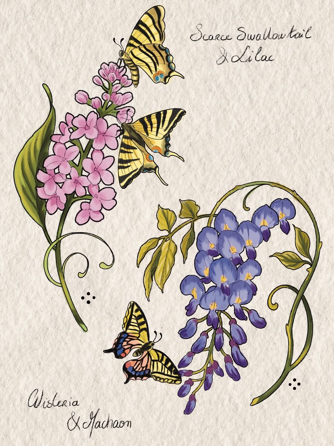 Watercolor botanical illustration featuring three yellow-and-black striped swallowtail butterflies with pink lilac flowers and purple wisteria blossoms on cream paper.