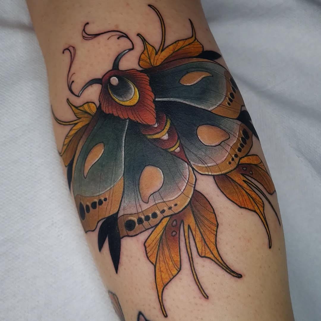 Colorful moth tattoo with dark wings, orange and red markings, and curved antennae, placed on the inner forearm.