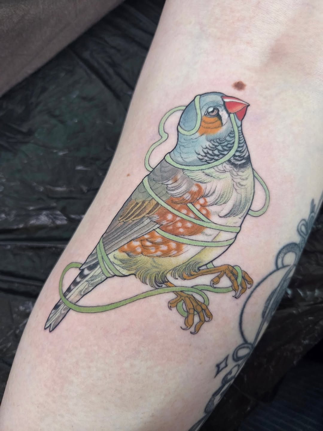 Colorful bird tattoo with green vine wrapping around its body, featuring blue, orange, and yellow plumage, positioned on the upper arm.