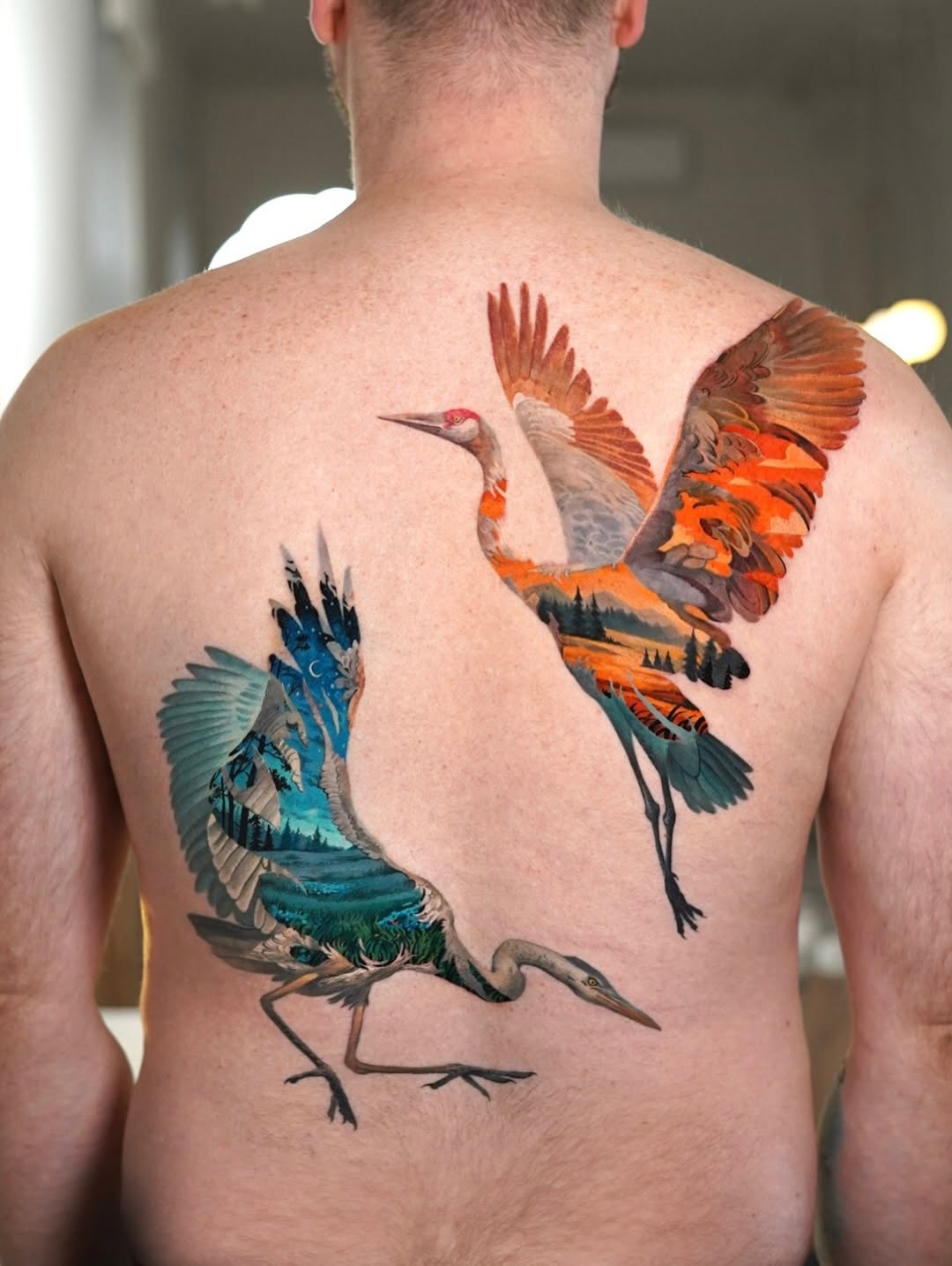 Two herons with landscape elements tattooed on a man's back; one blue-winged heron on the lower left, one orange-winged heron on the upper right.