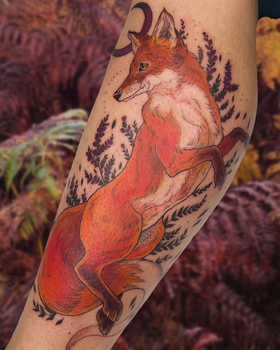A reddish-orange fox with white chest stands on hind legs on an arm, surrounded by purple lavender sprigs and a crescent moon above.