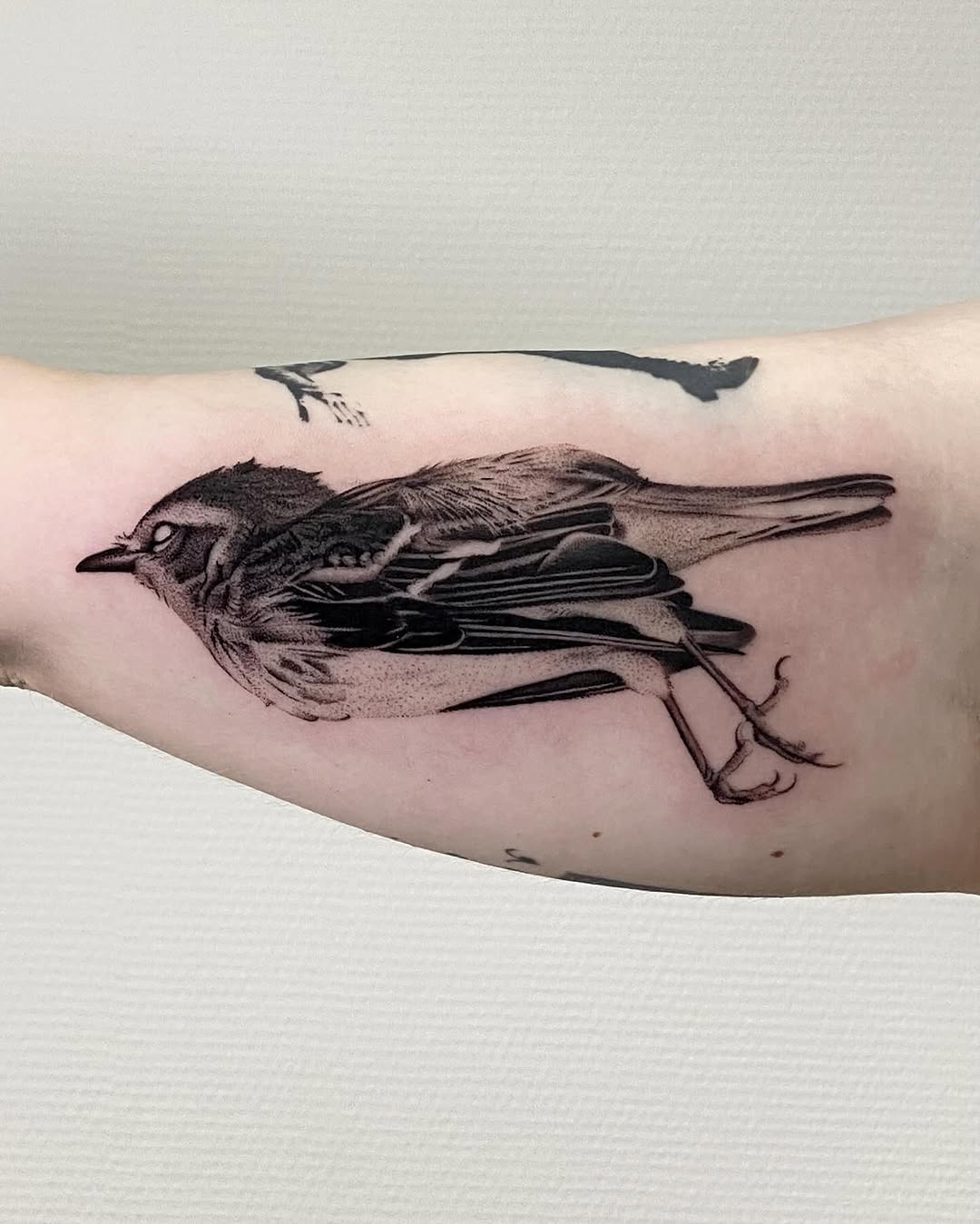 Detailed bird tattoo on forearm with fine linework, shading, and anatomical detail in black ink, accompanied by a small abstract line drawing above.