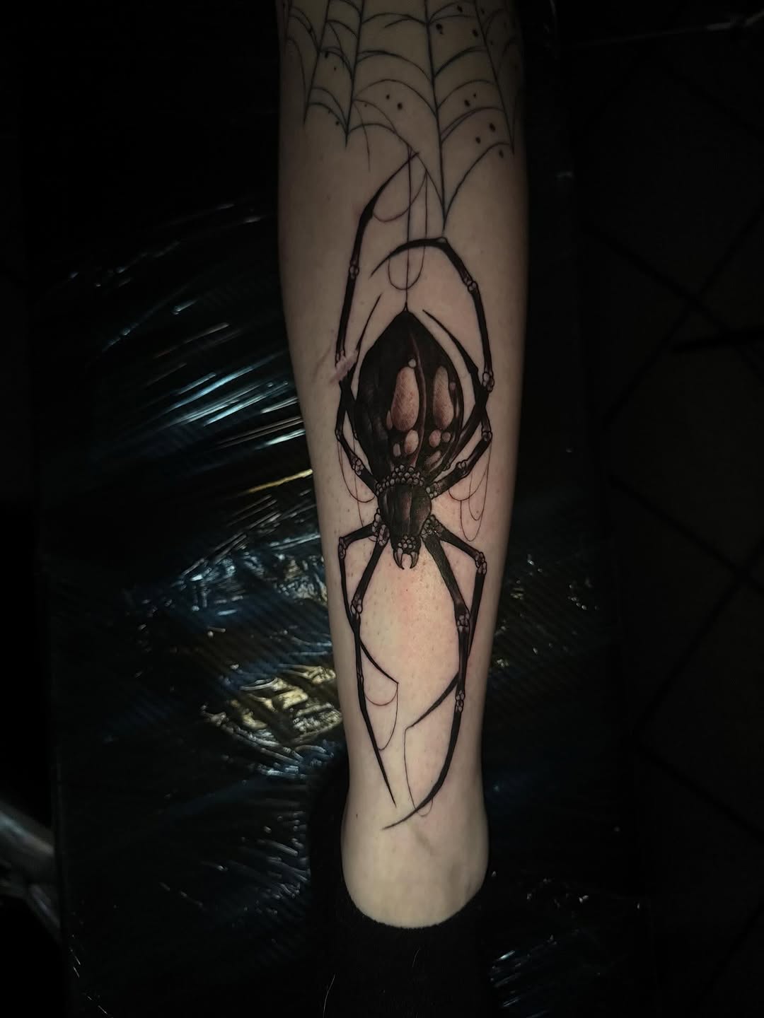 Spider with detailed body and legs suspended from web lines on a forearm, rendered in black ink with shading.