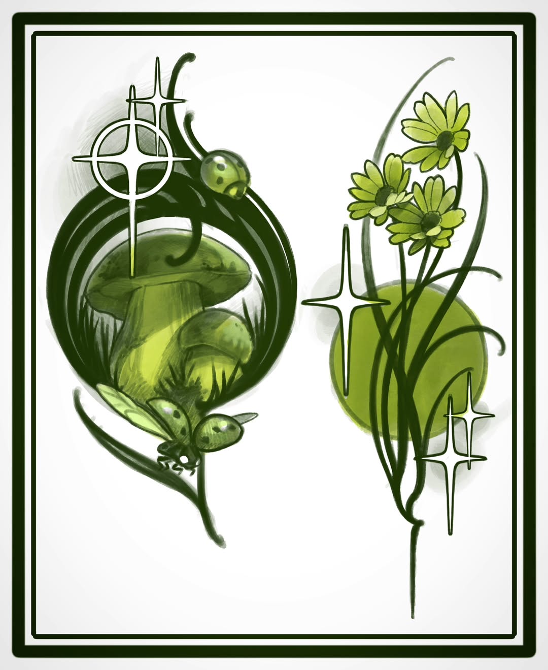 Two botanical illustrations with green and yellow coloring featuring flowering plants on the right and seed pods with cross symbols on the left.
