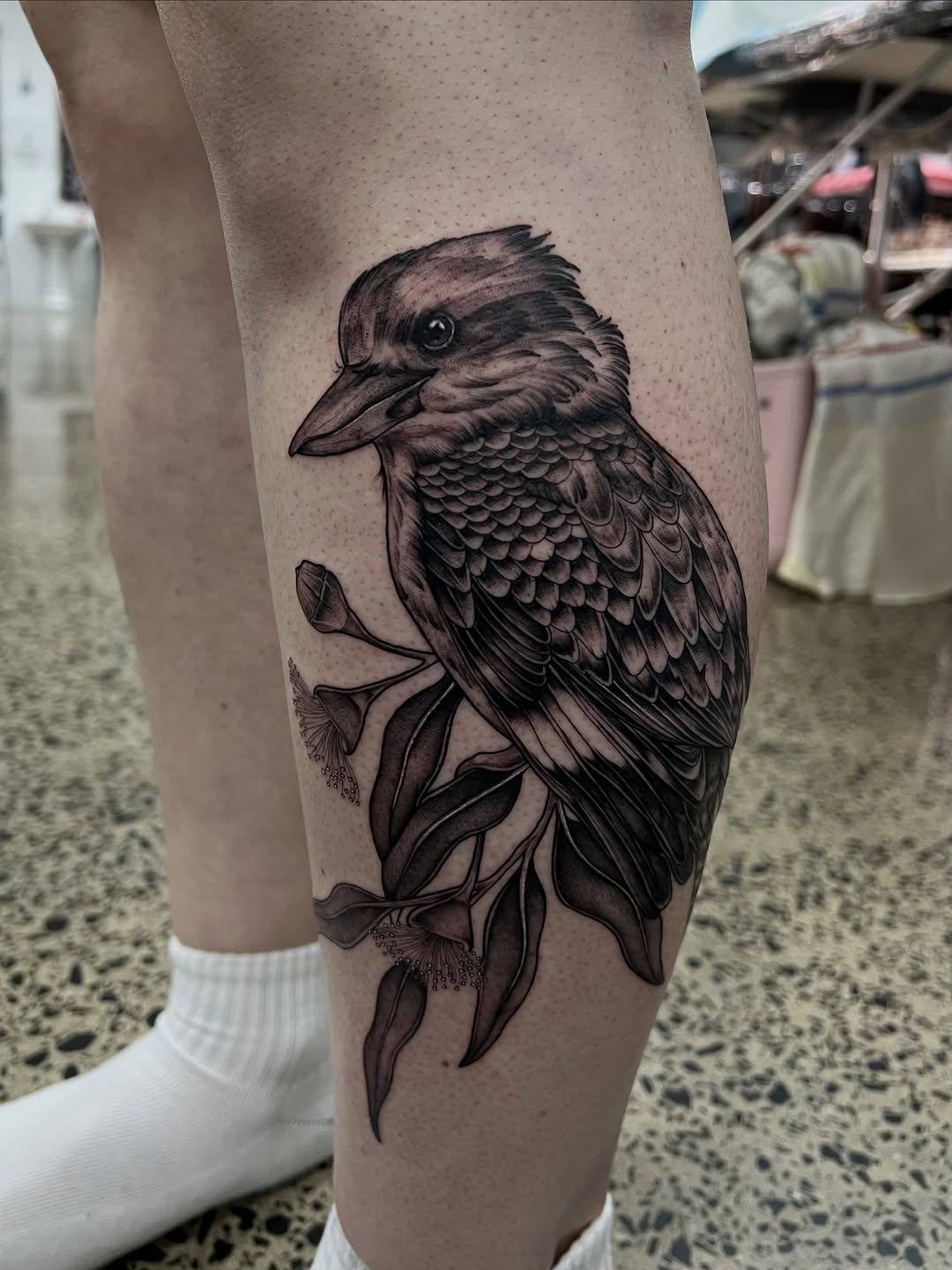 Detailed black ink bird perched on flowering branches tattooed on the calf of a person wearing white socks.