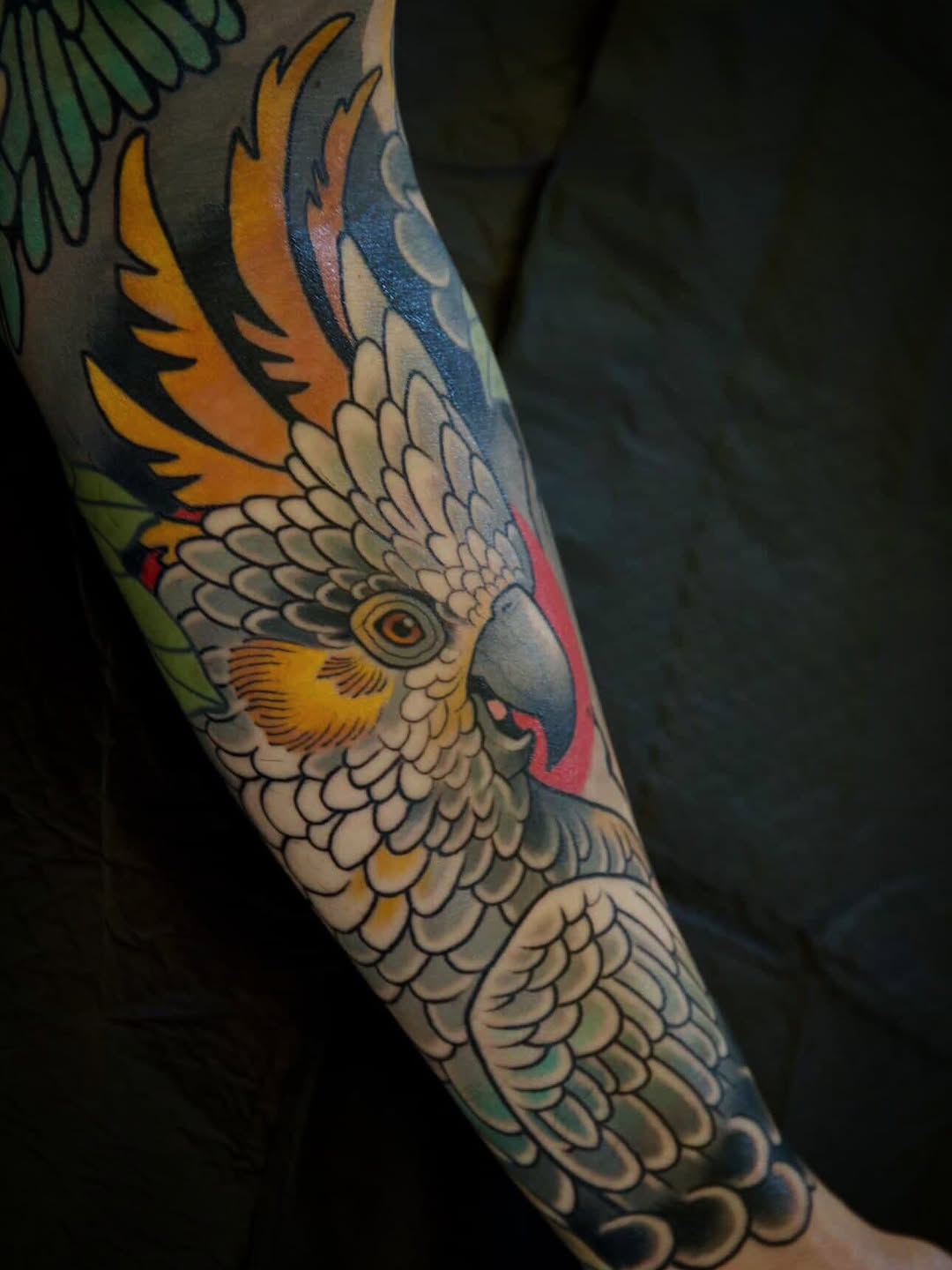 Colorful eagle head tattoo on forearm featuring cream and white feathers, yellow and orange plumage, blue and red background elements, and detailed eye.