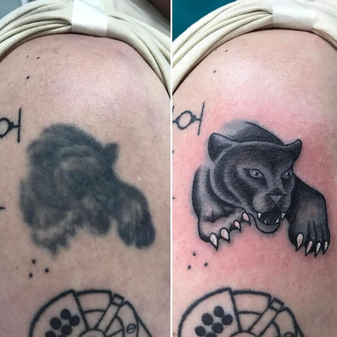 Before and after tattoo cover-up showing a panther head with visible fangs and claws on the upper arm, with improved detail and definition.