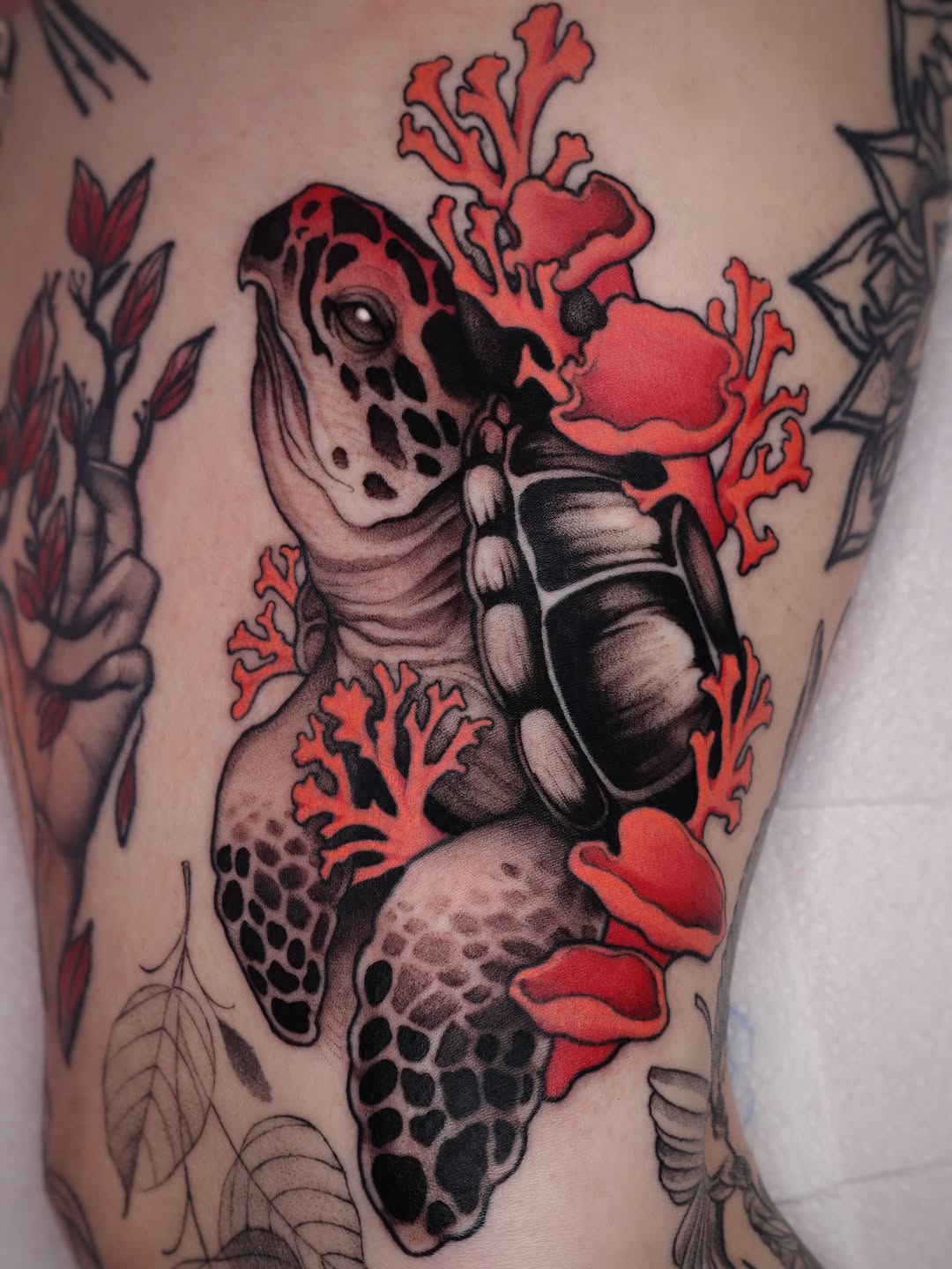 Sea turtle with patterned shell and flippers surrounded by red coral branches and botanical elements on thigh.
