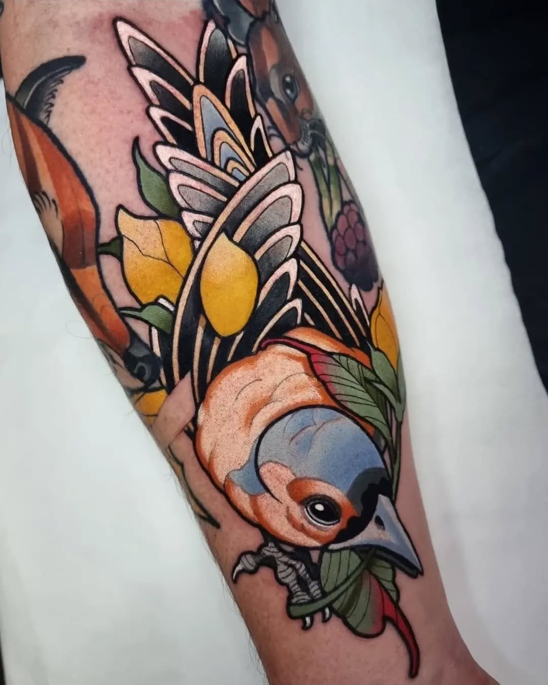 Colorful butterfly and koi fish tattoo on forearm featuring yellow, orange, blue, and green hues with black outlines and botanical elements.