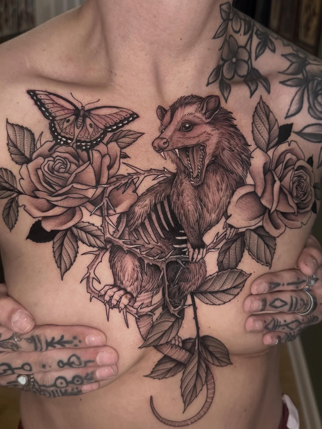 Chest tattoo featuring an opossum with open mouth surrounded by roses, leaves, and a butterfly, rendered in black and gray ink.