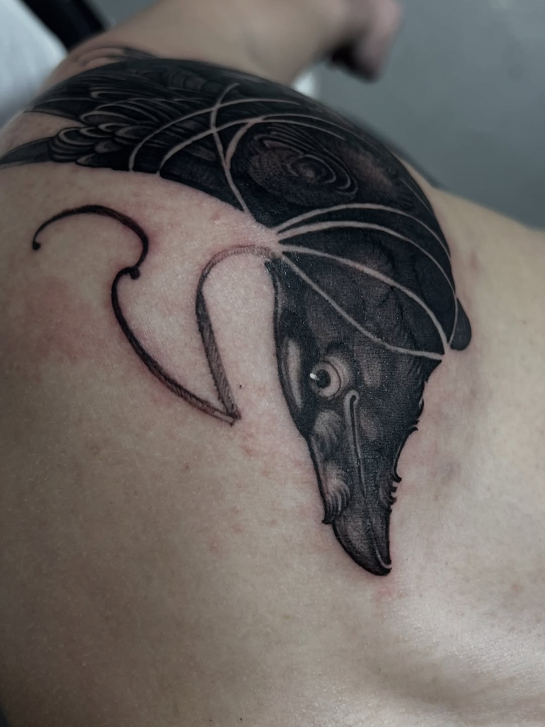 Jellyfish tattoo on shoulder with black shaded body, flowing tentacles, and fine line details in gray and black ink.