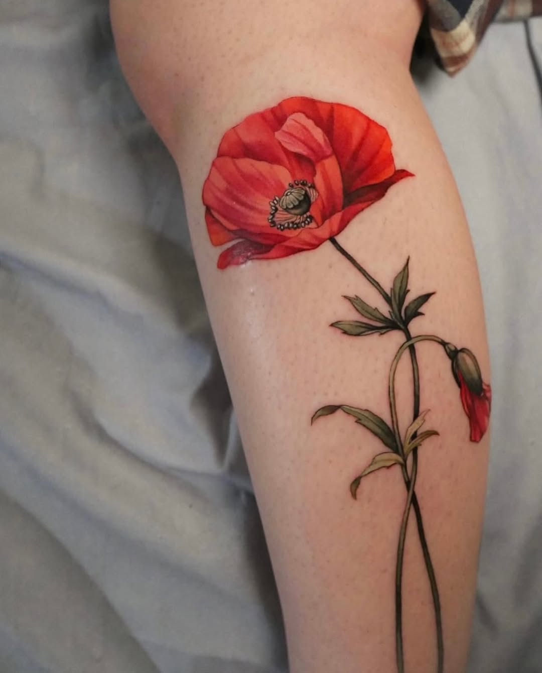 Red poppy flower with detailed center and green stem with buds tattooed on the outer thigh in color.
